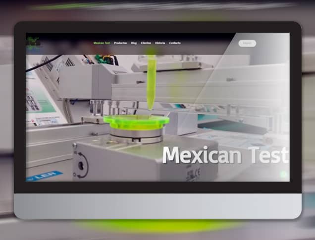 mexican test mockup